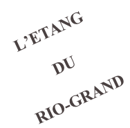 wp3100f0a2.png