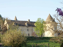 wp5598da28_0f.jpg