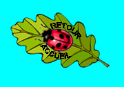 wpef1f842c_0f.jpg